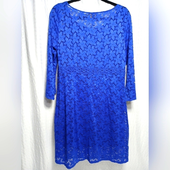 Landry By Shelli Seagal Elegant Soft Lace Lined Midi Dress. Size 12 - Picture 2 of 10